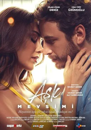 Season Of Love 2024 Hindi Dual Audio HD Poster Download - Filmyzilla