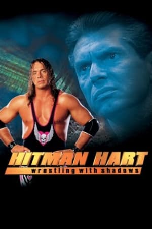 Hitman (1998) Hindi Dual Audio 300MB HD Poster Download - Filmyzilla