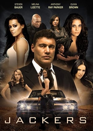 Jackers 2010 Dual Audio Hindi Movie - 800MB HD Poster Download - Filmyzilla