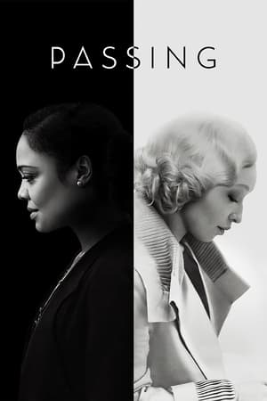 Passing 2021 Hindi Dual Audio [1.2GB] HD Poster Download - Filmyzilla