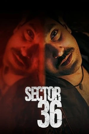 Sector 36 2024 Hindi Dual Audio HD Poster Download - Filmyzilla