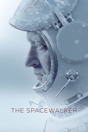 Spacewalk 2017 Hindi Dual Audio – HD Poster Download - Filmyzilla