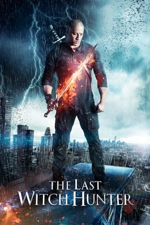 The Last Witch Hunter (2015) Hindi Dual Audio 300MB HD Poster Download - Filmyzilla
