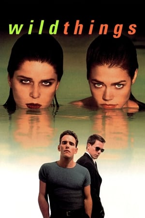 Wild Things (1998) 100mb Hindi Dual Audio Download HD Poster Download - Filmyzilla